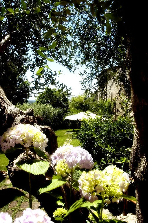 Locanda Delle Mura Anna De Croy Magliano in Toscana