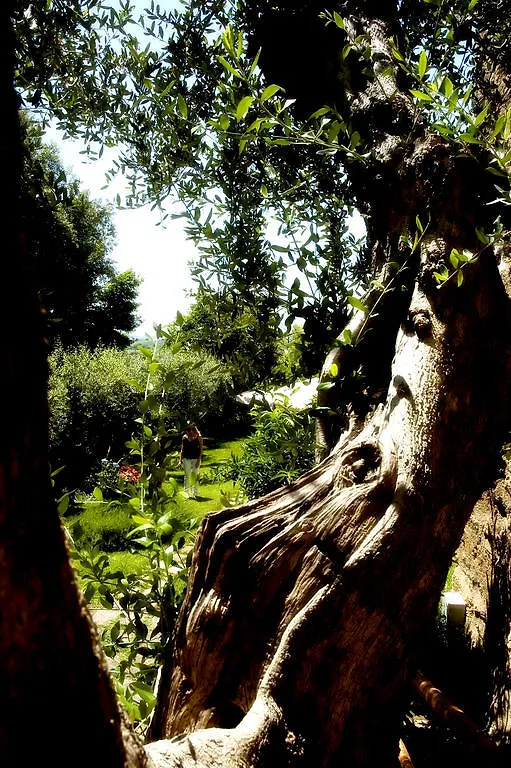 Locanda Delle Mura Anna De Croy Magliano in Toscana Nocleg ze śniadaniem